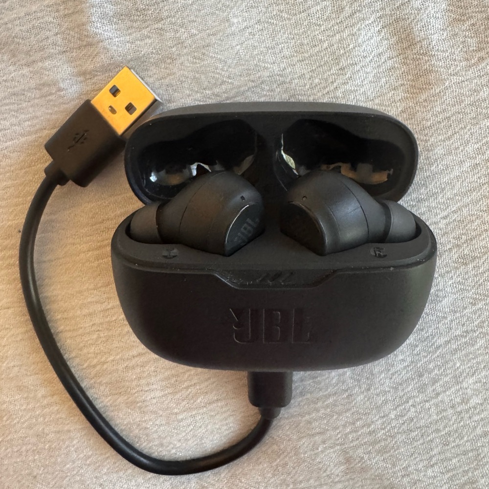 JBL Black True Wireless Earbuds with USB Cable